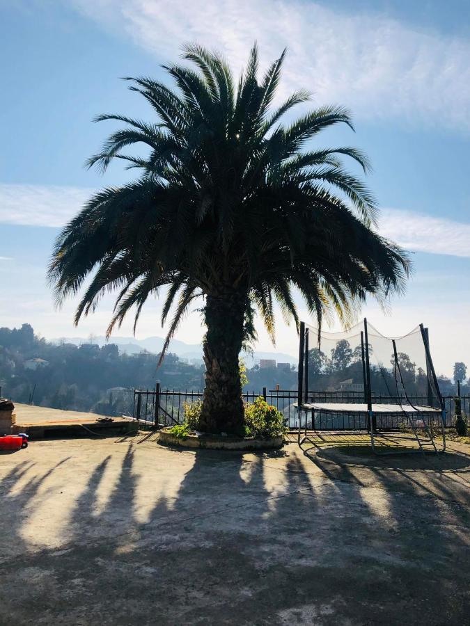 Bis-A Guesthouse Makhinjauri Dış mekan fotoğraf