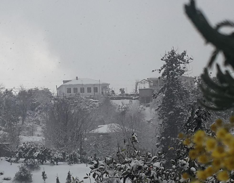 Bis-A Guesthouse Makhinjauri Dış mekan fotoğraf